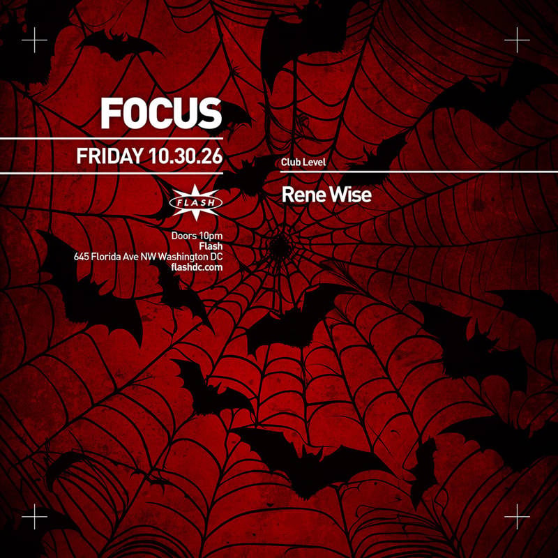 FOCUS: Rene Wise 1