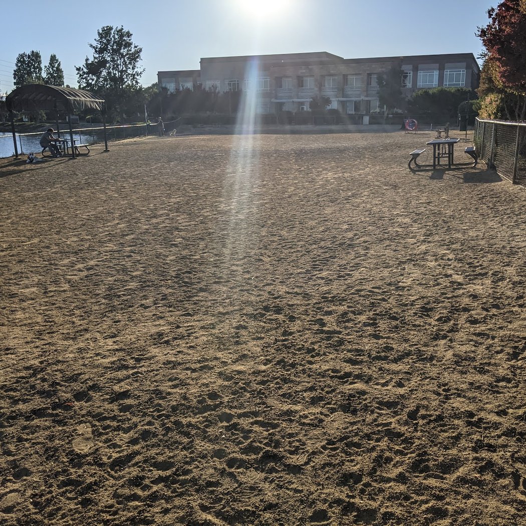 Shore Dogs Park 2