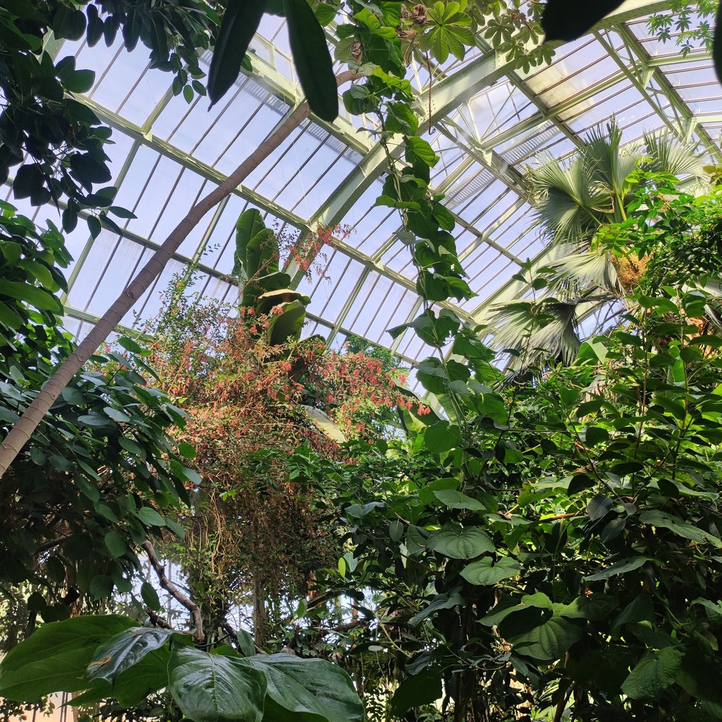 Automne tropical 5