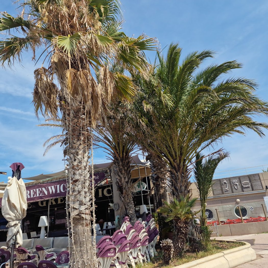 Festival de sports nautiques et urbains 3