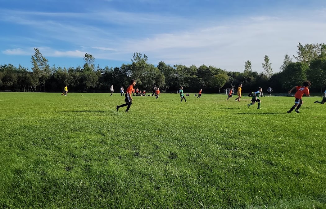 Wilson Park 2