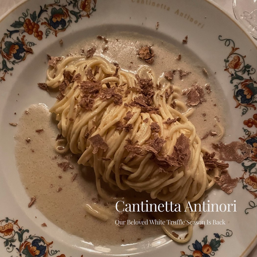 Cantinetta Antinori White Truffle Season