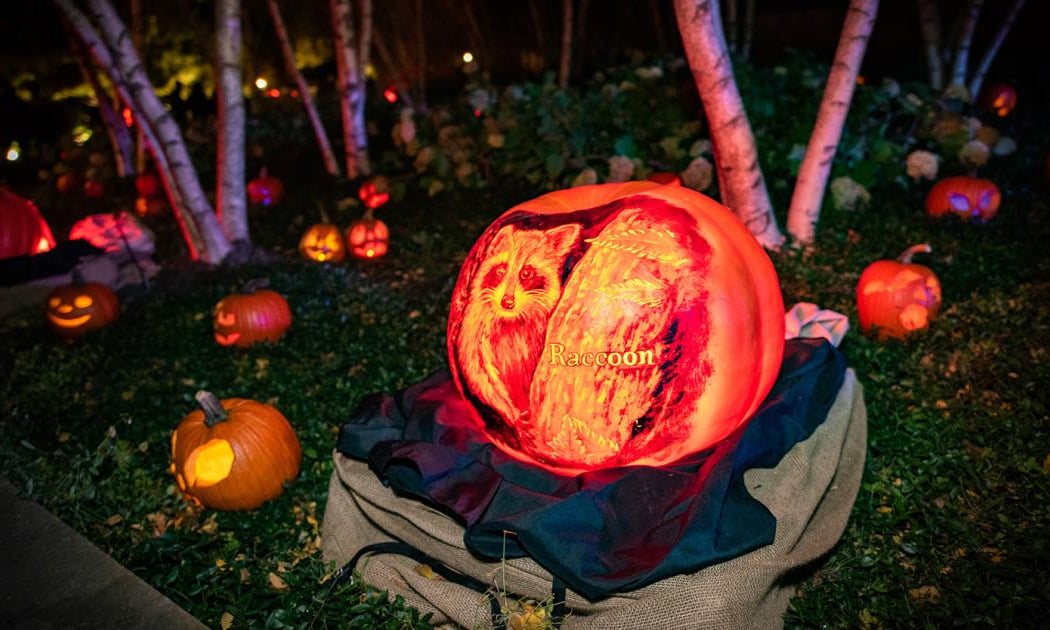 Night of 1,000 Jack-o'-Lanterns