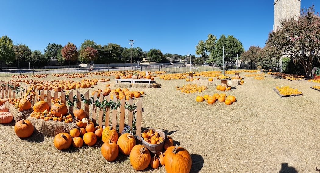 Pumpkin Patch 2