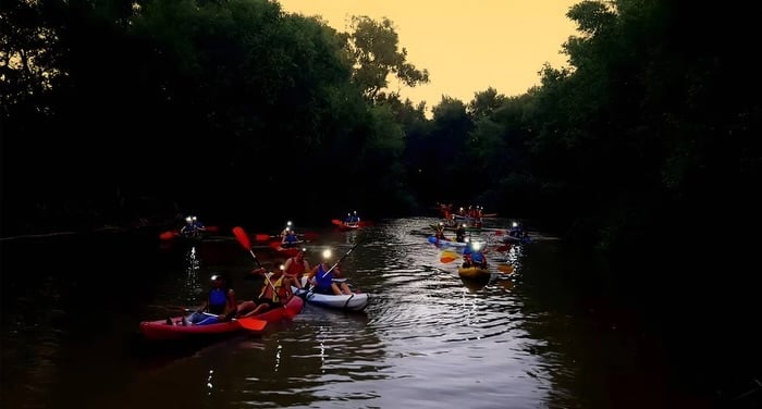ruta nocturna guiada en kayak 2