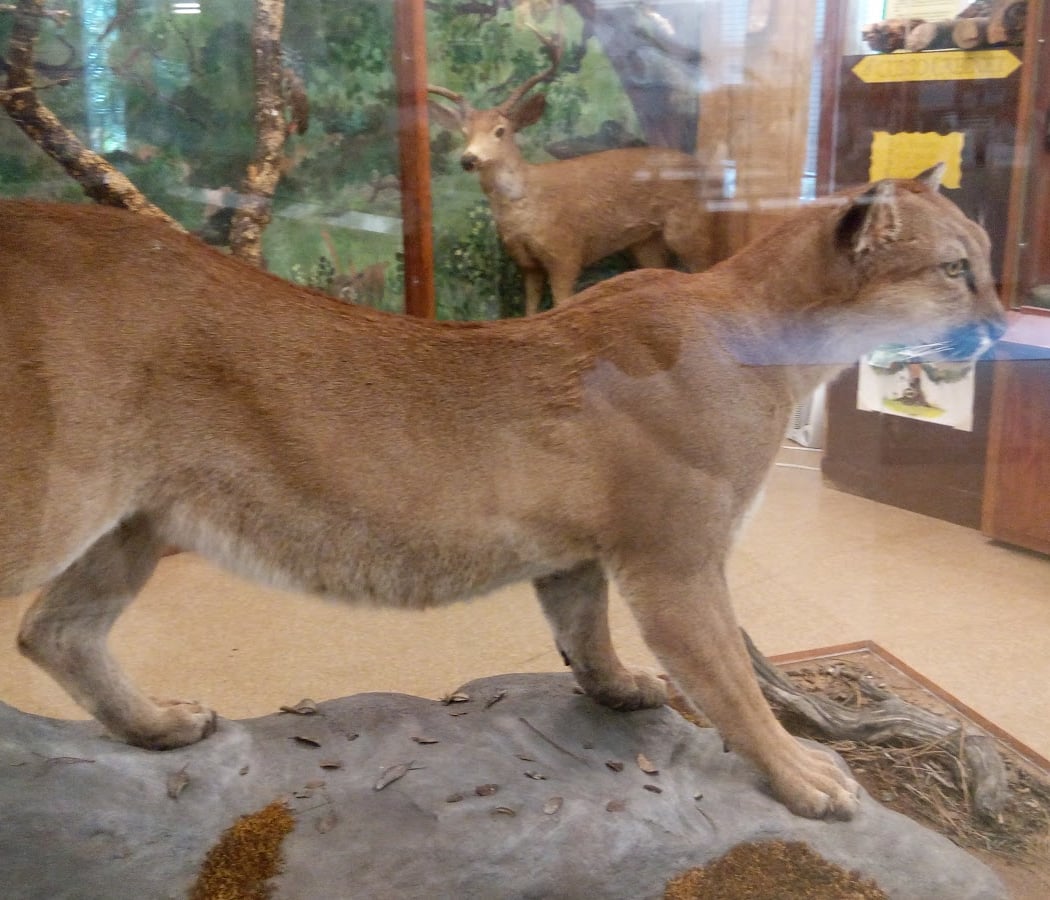 Carolyn Parr Nature Center 2
