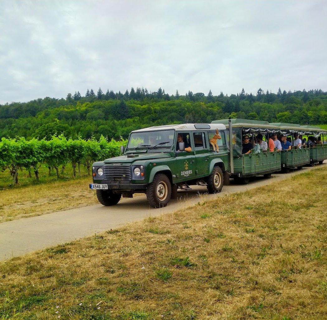 Food and Wine Matching Experience 1