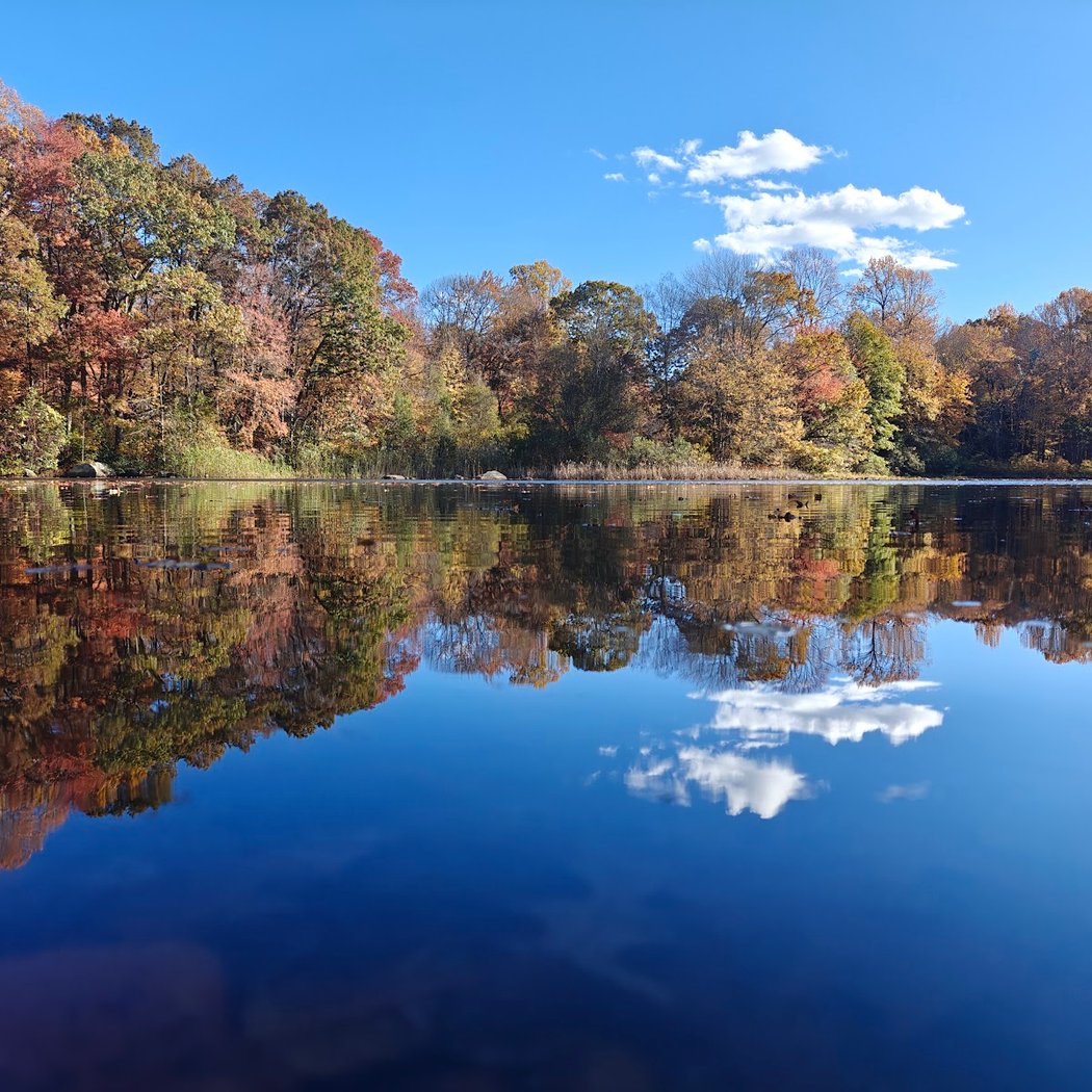 Connecticut College Arboretum 1