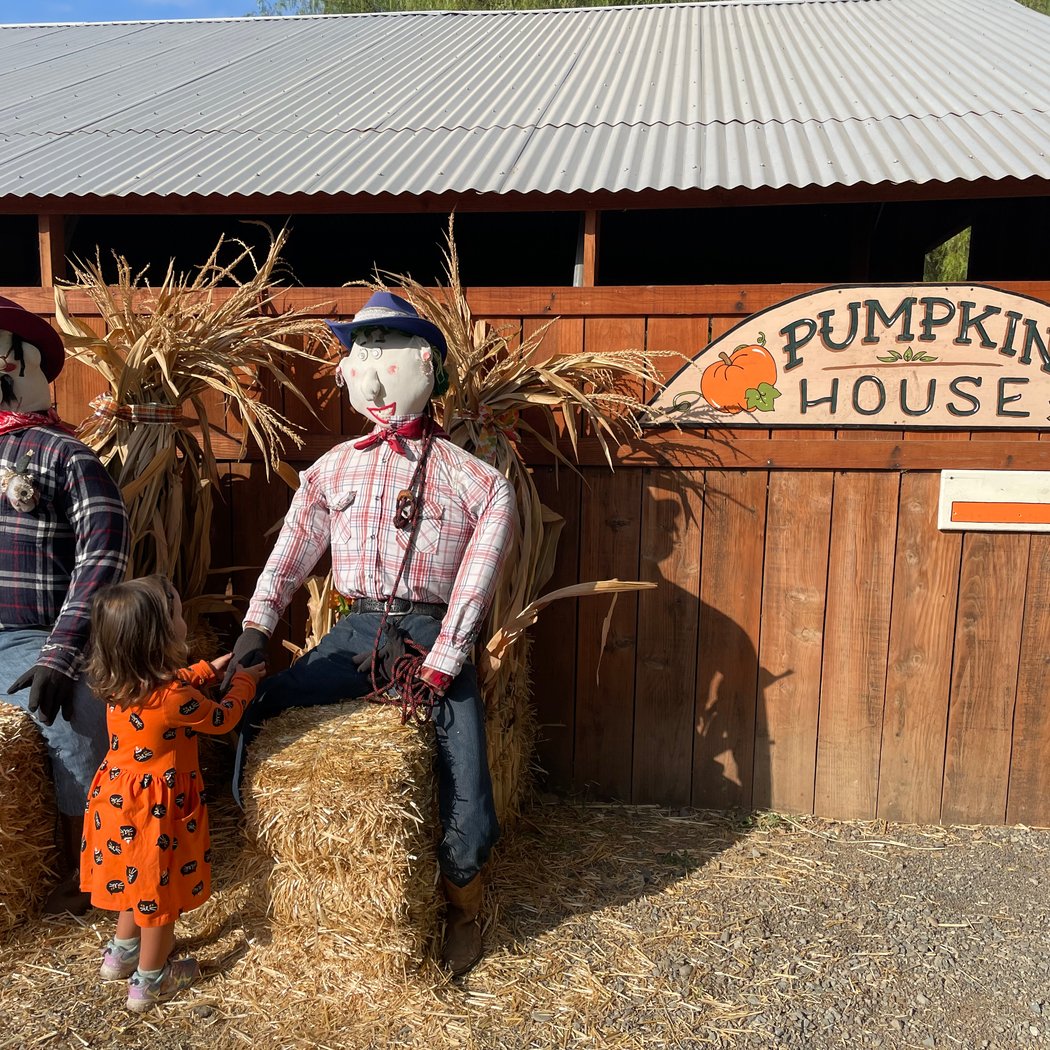 Smith Family Farm 1