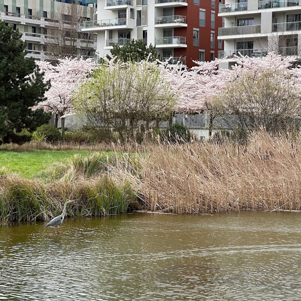 Parc de Billancourt 3