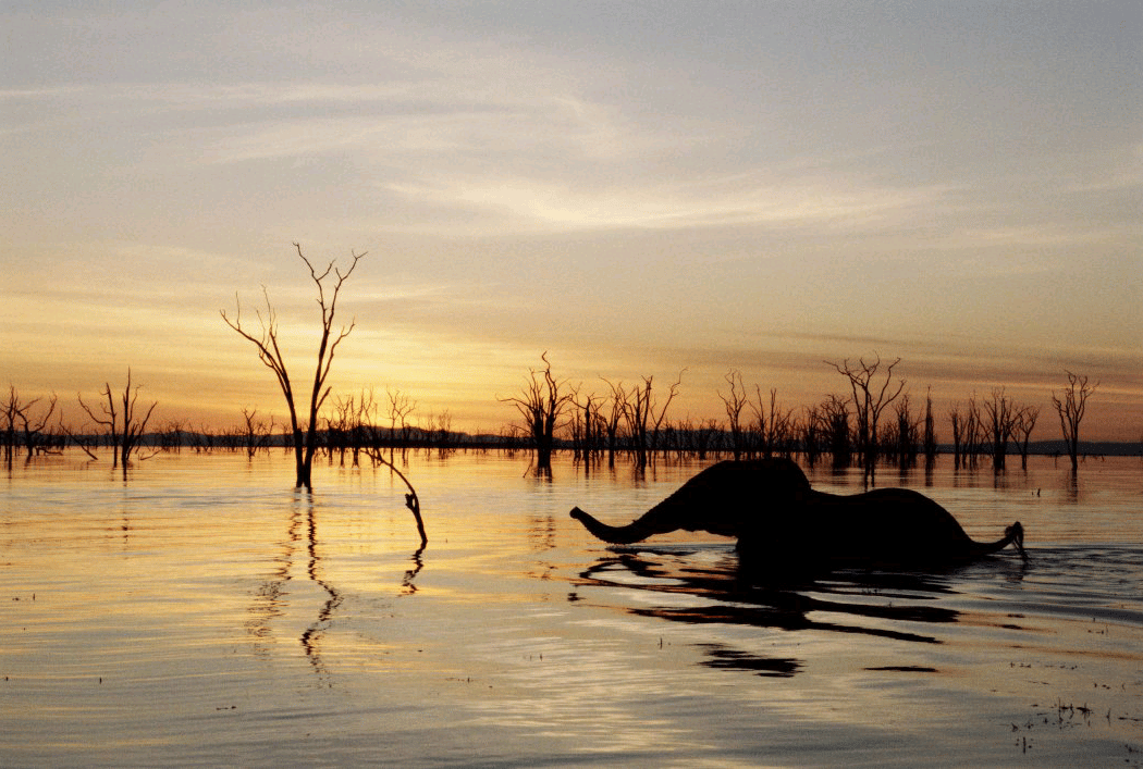 Lake Kariba 1