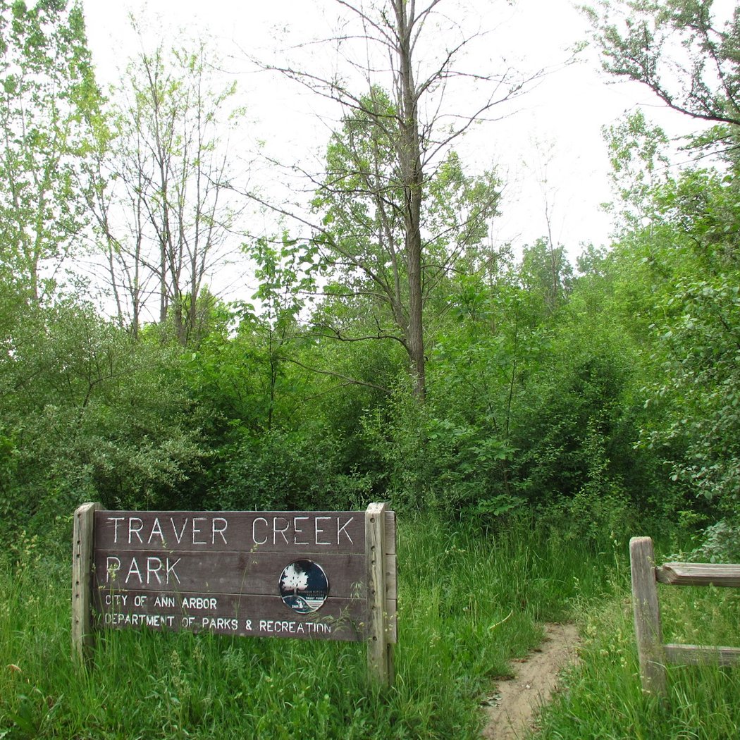 Traver Creek Nature Area 2