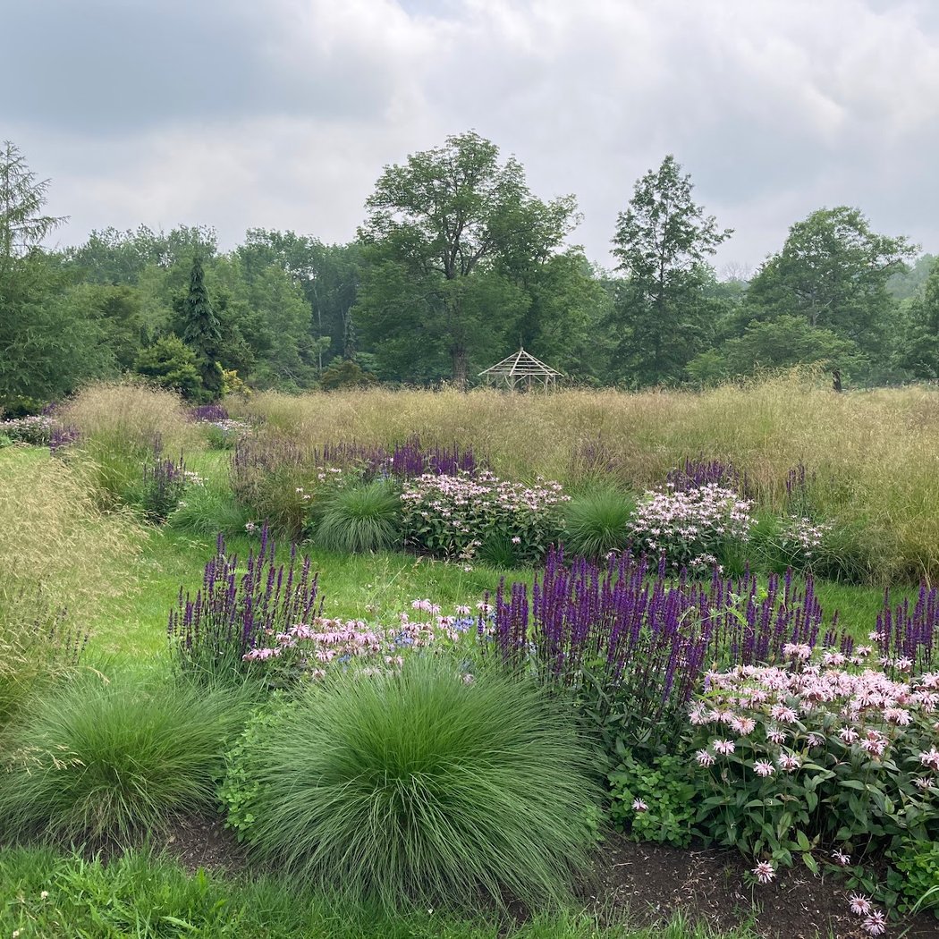Forest Bathing with Beth Rennig 2