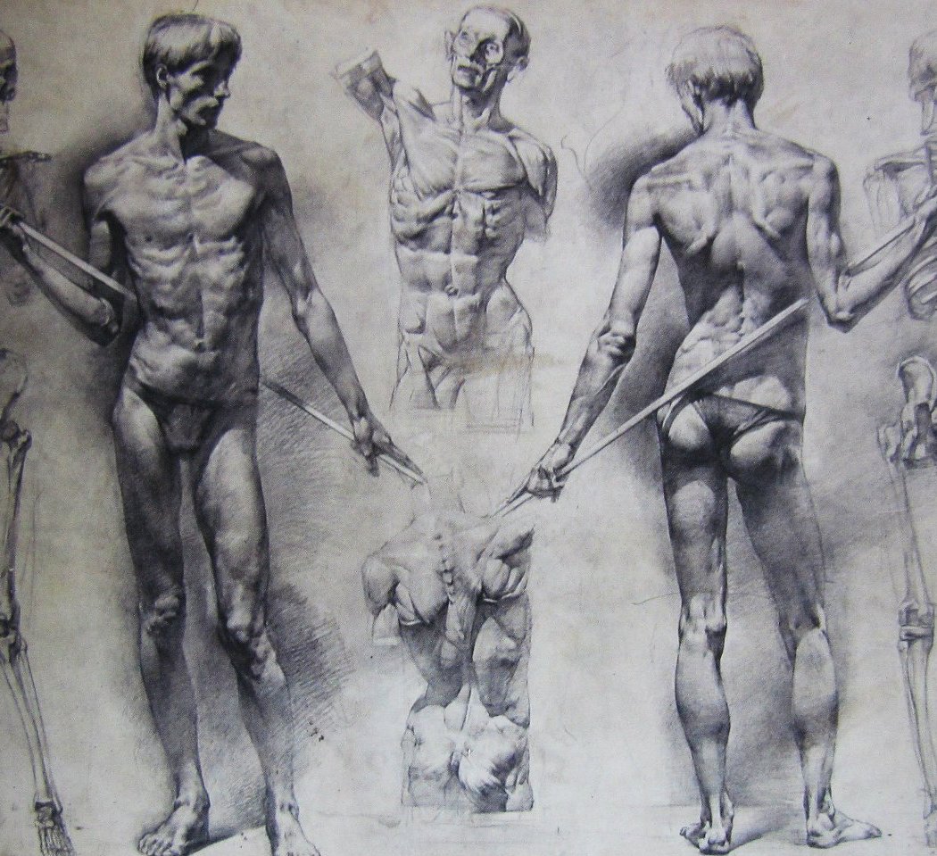 Figure Drawing 2