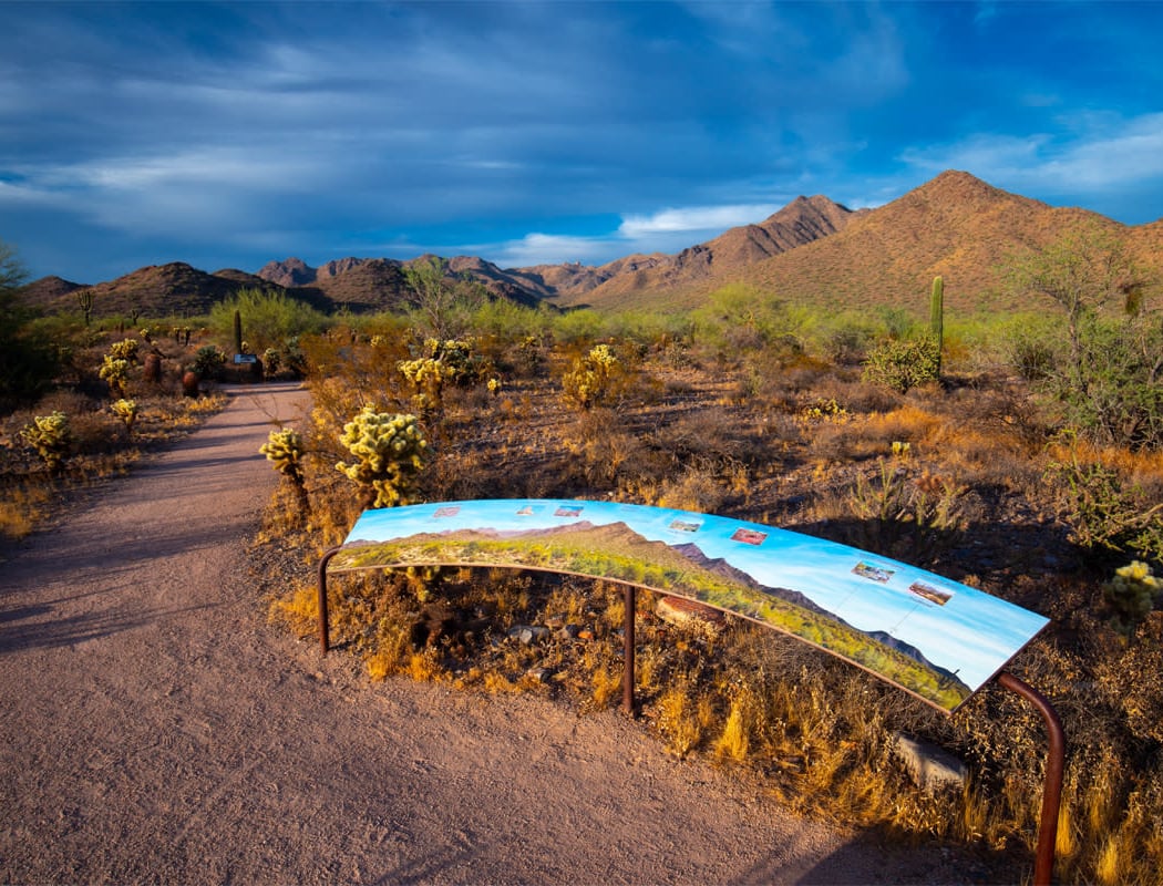 Scottsdale Desert Classic Guided Hiking Adventure 4