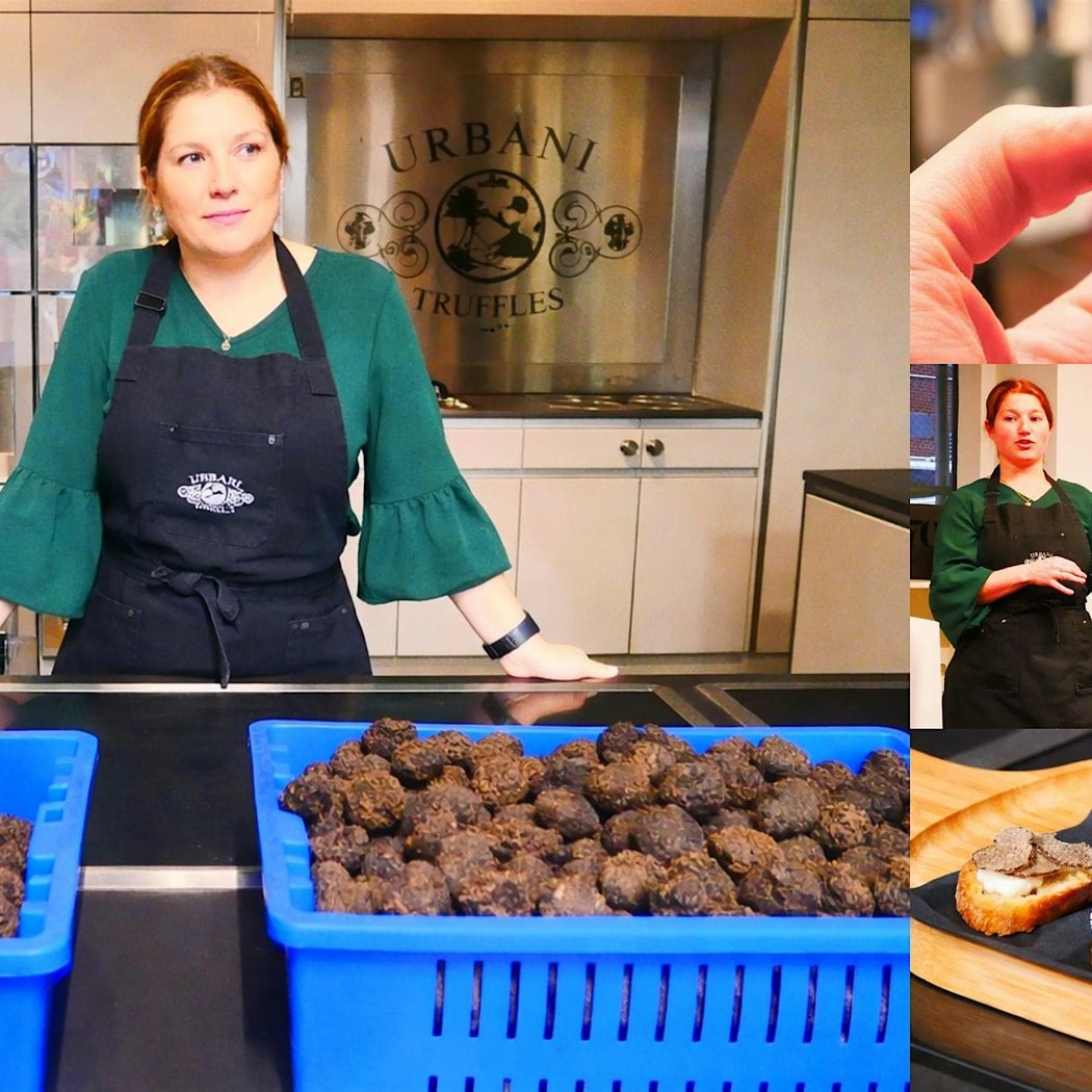 Urbani Truffles USA Corp 2