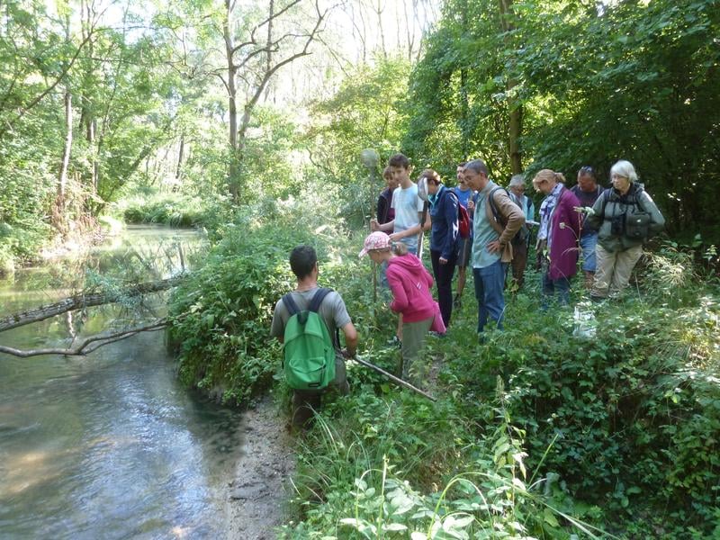 Natural Reserve La Bassée 2