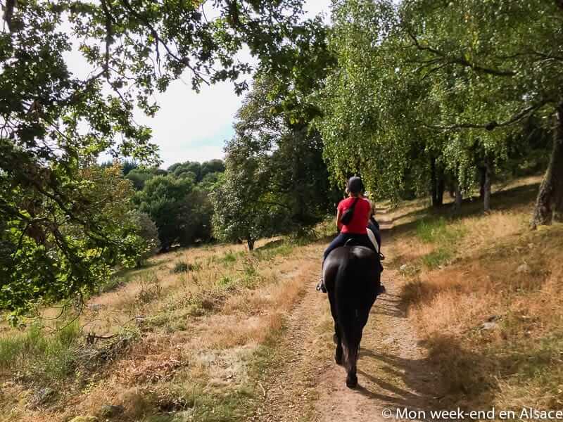 Horseback Riding Trails at Cheval Alsace 1