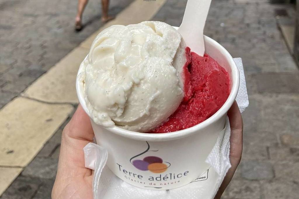 Glacier Terre adélice LYON 2