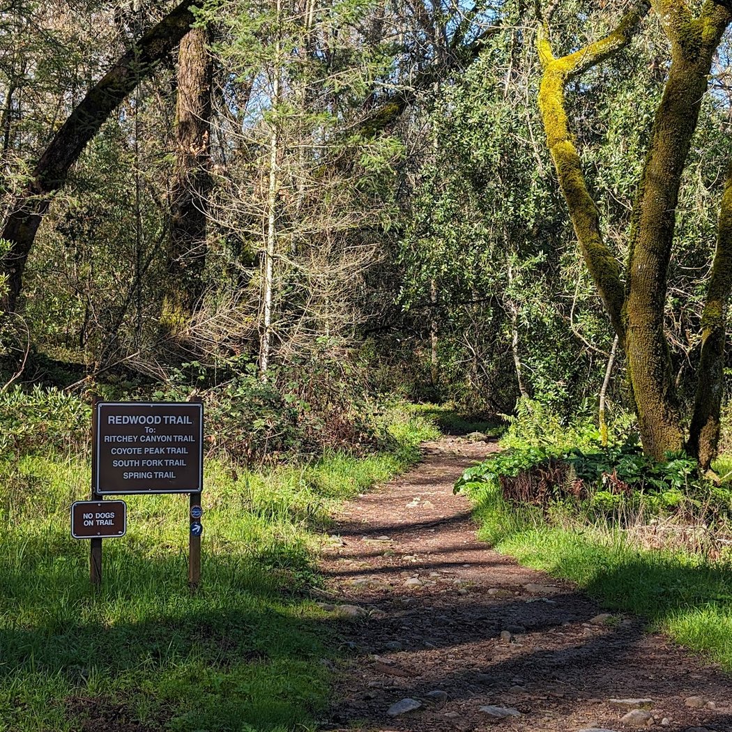 Trailhead for Redwood Trail in Bothe-Napa Valley State Park 2
