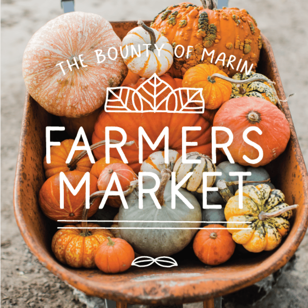 Farmers Market 1