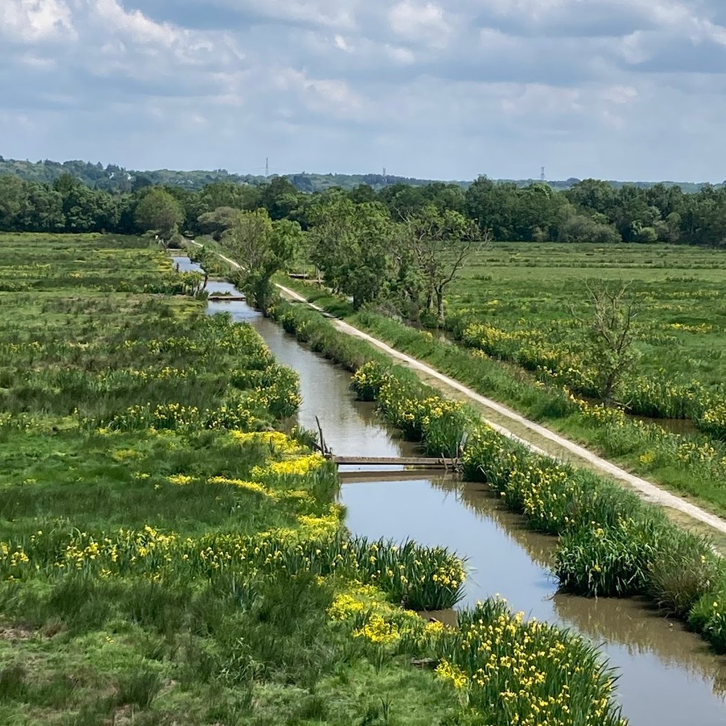 Sentier du Syl au Trou Bleu 1
