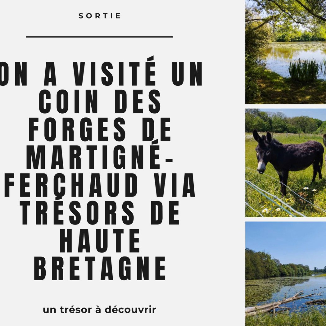 La Forge 1