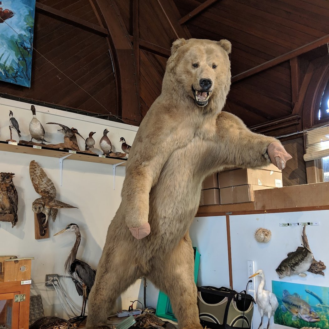 Drop-in: WildCare’s Ambassador Zone 2
