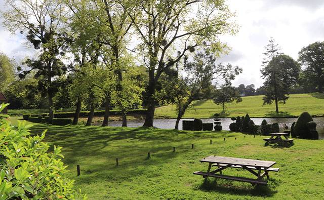 Picnic area of ​​Landreau 1