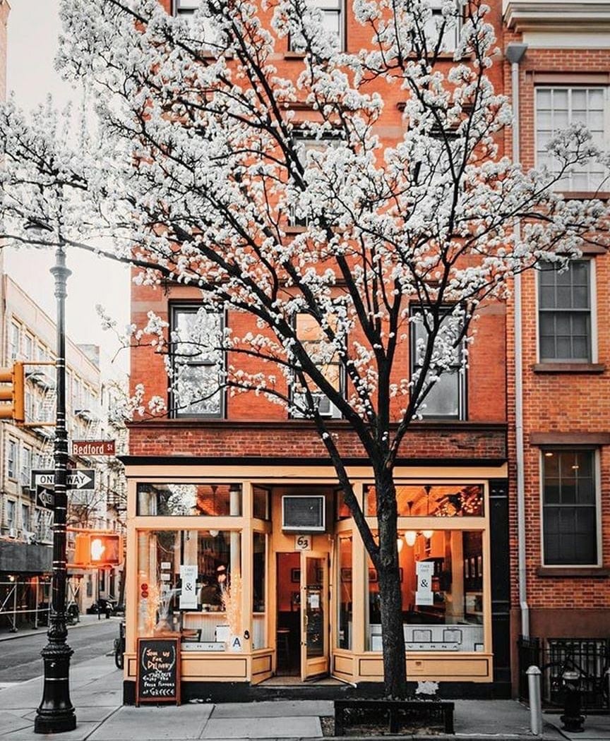 Brooklyn Trivia Finder