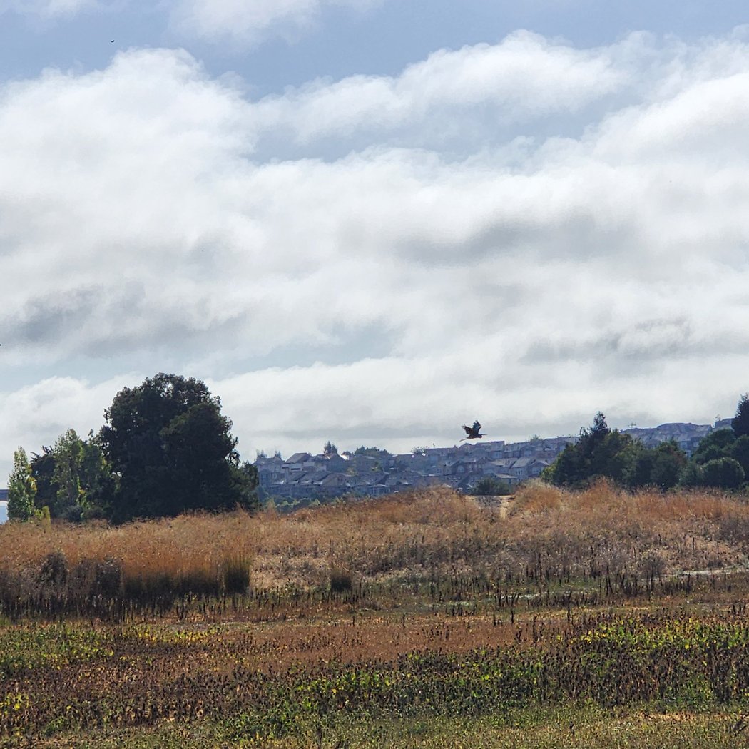 River Park Walk 2