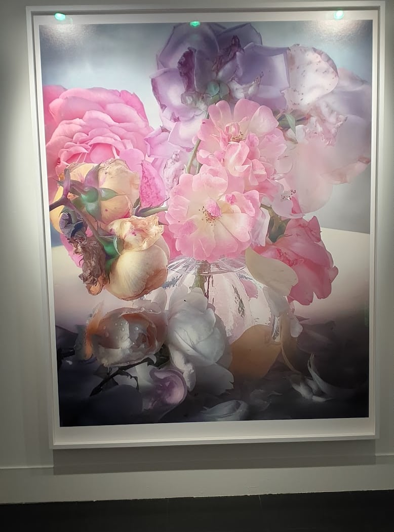 Musée de la Photographie Charles Nègre 1