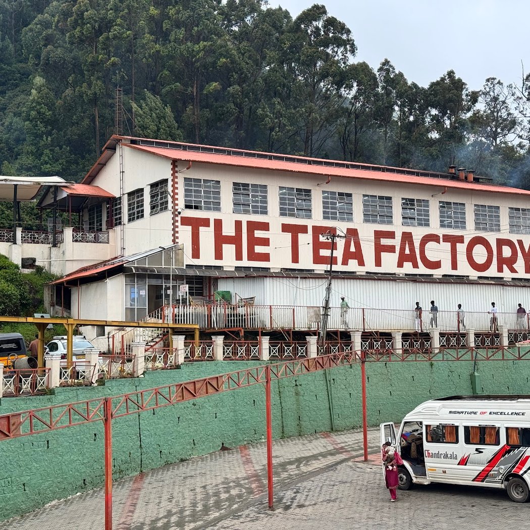 The Tea Factory & The Tea Museum 2