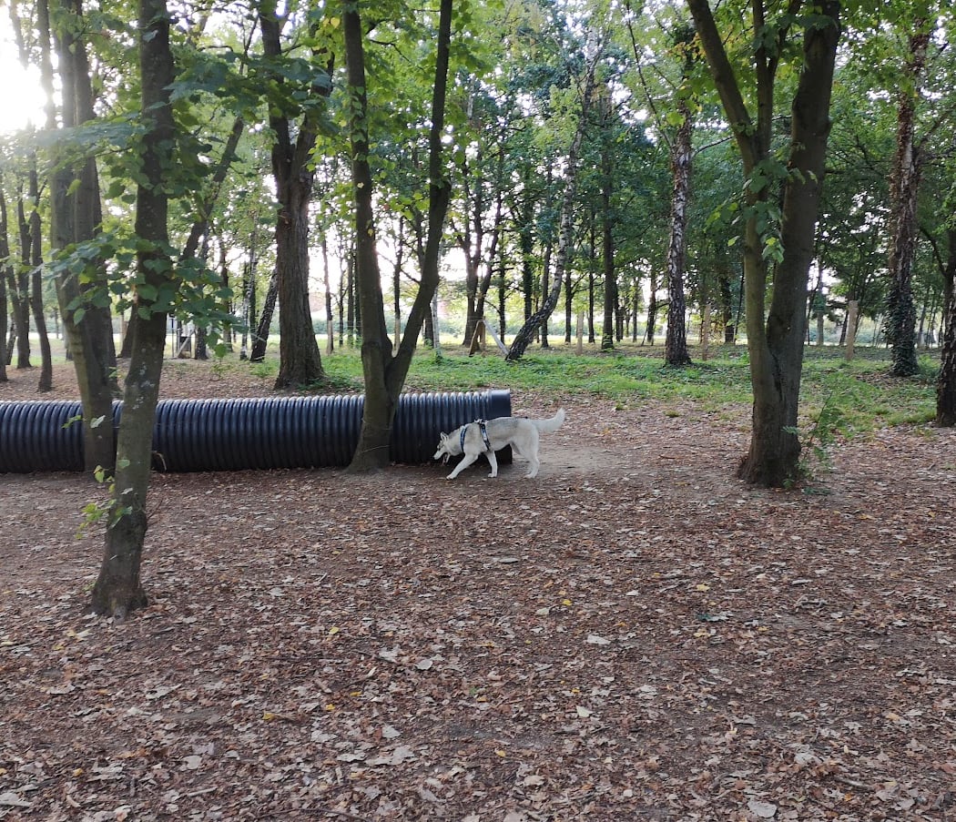 Templars Dog park 2