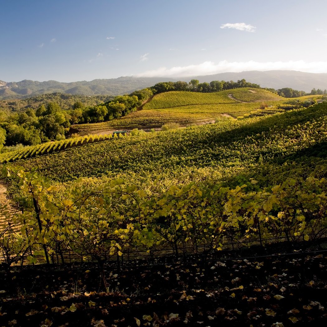 Brunch Flight at Benziger Family Winery 2