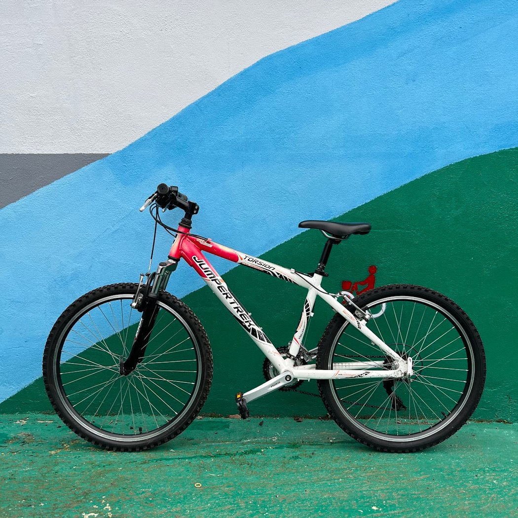 Vélo Voie Verte 2