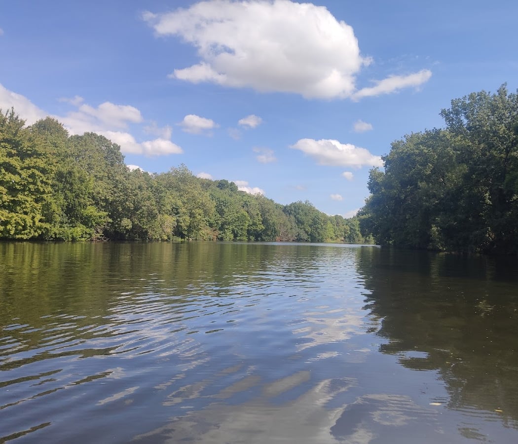 Ruban Vert Electric Boat Rental 3