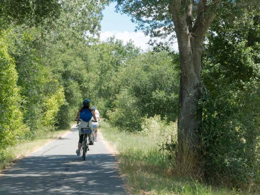 Prince Memorial Greenway Trail 2