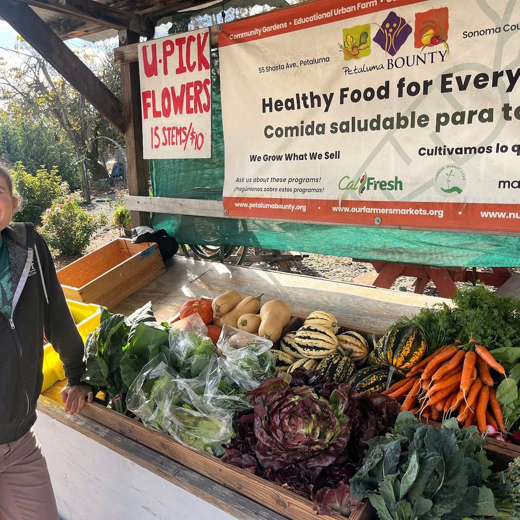 Petaluma Bounty Farm 1