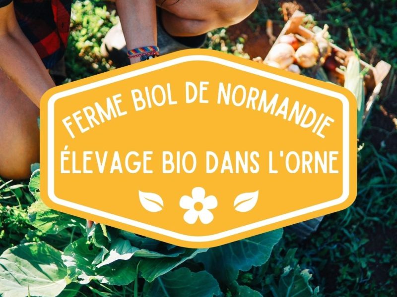 La Ferme biologique de Normandie 2