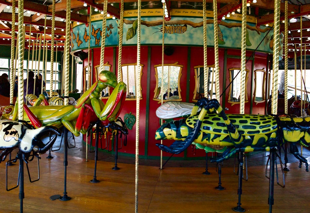 Bug Carousel 2