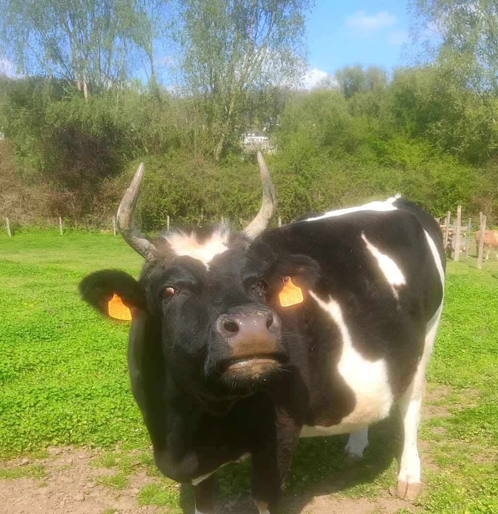 Malowe Nature, la ferme pédagogique 3