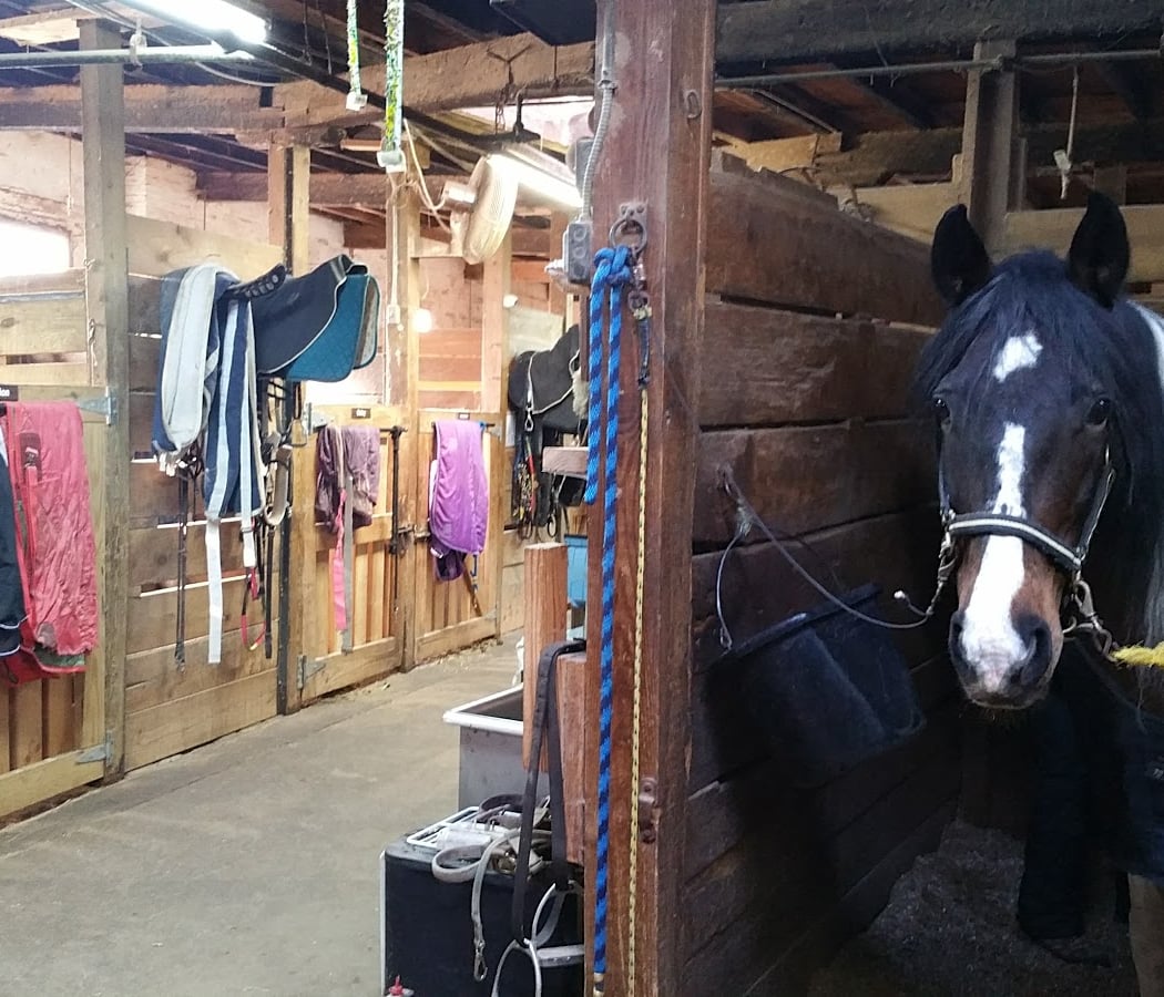 GallopNYC (Forest Hills) 3