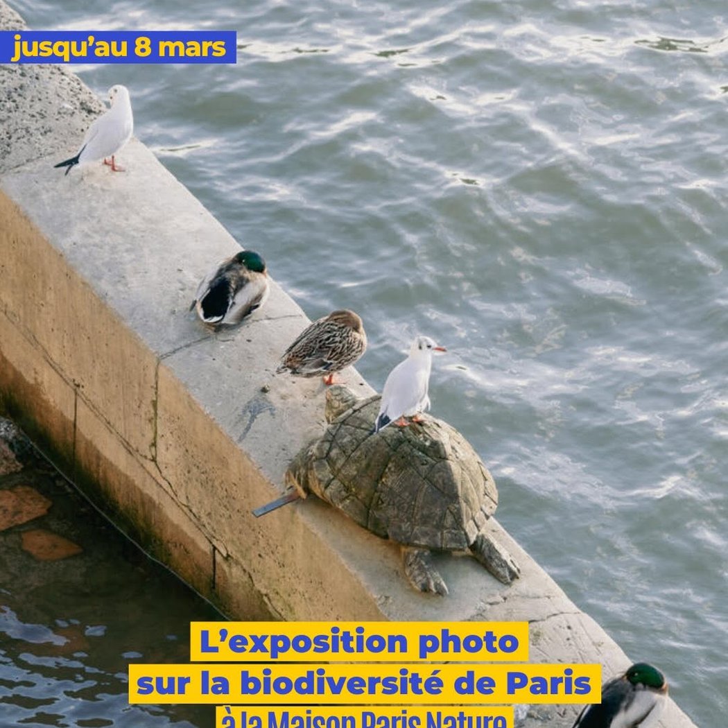 Exposition photo sur la biodiversité de Paris par Frédéric Combeau 1
