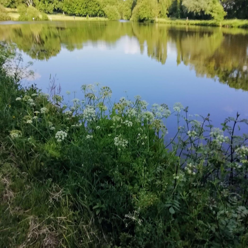Parc de la Filée 1