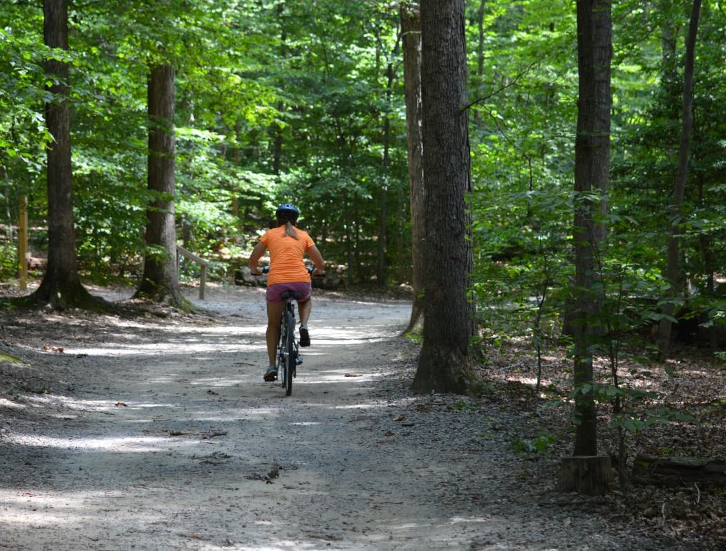 Burke Lake Park 3