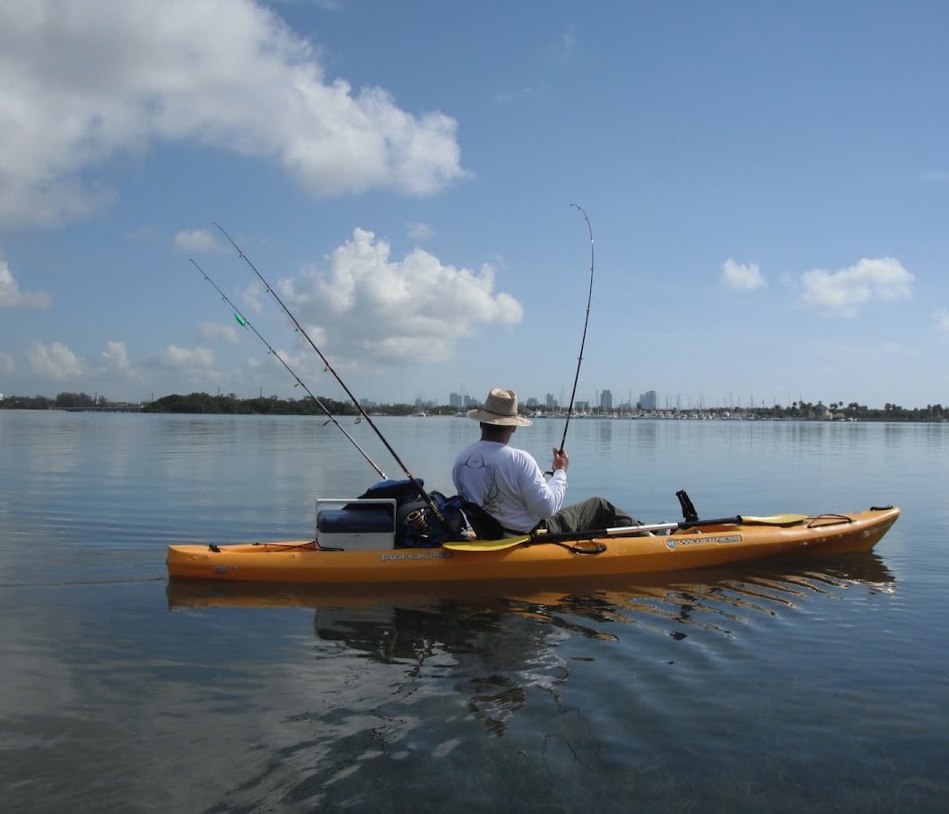 Fishing for Beginners 1