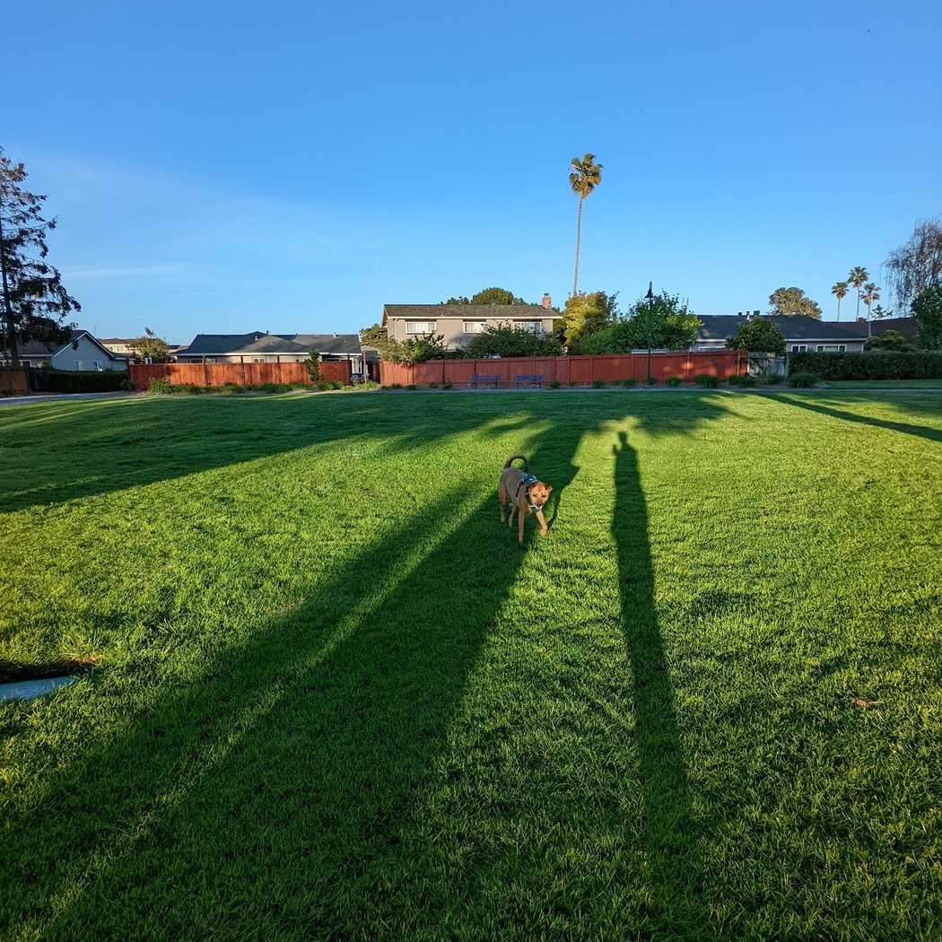Shad Park 2