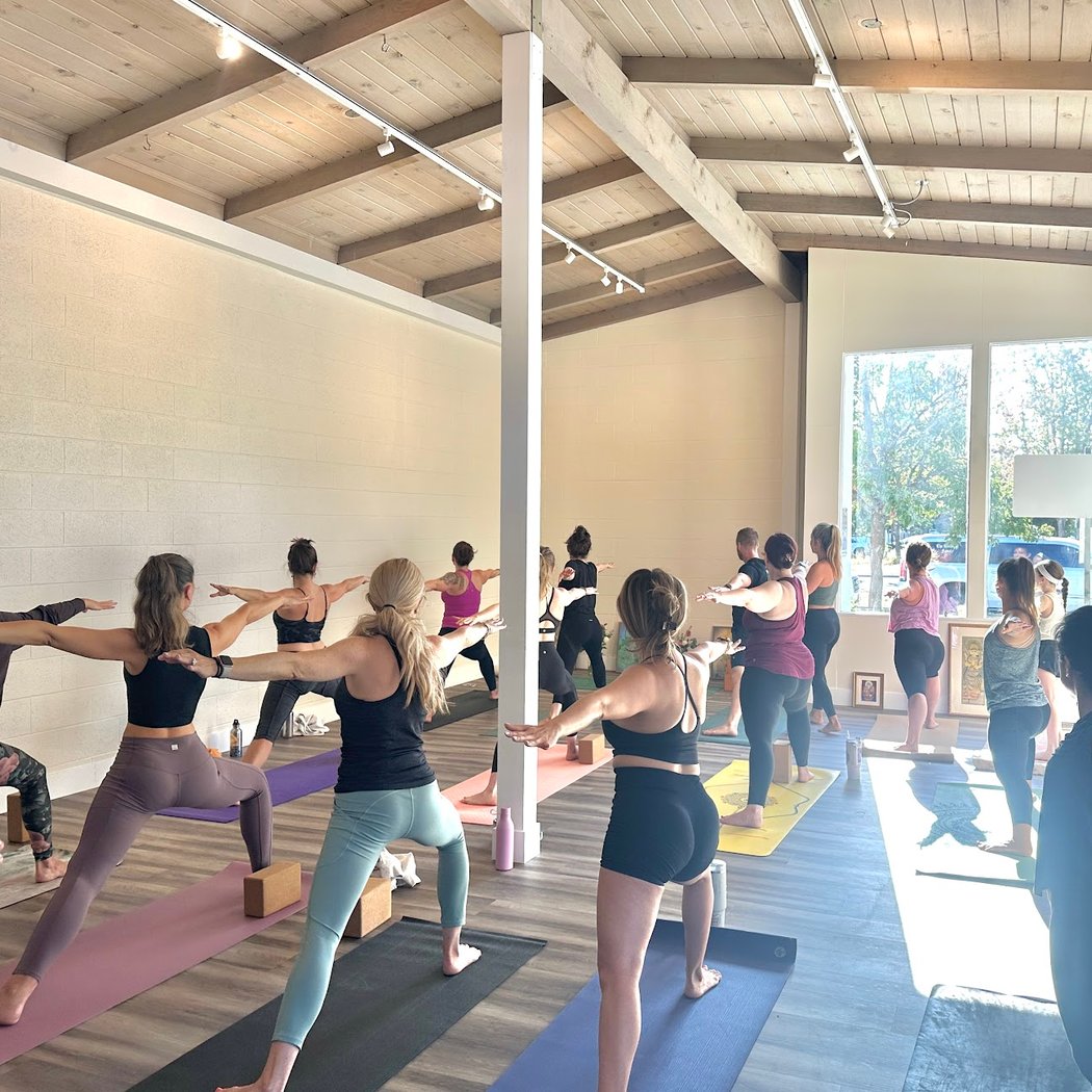 Thanksgiving Day Yoga Flow with David McGuire 2