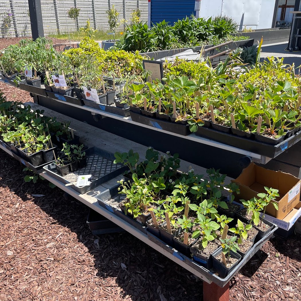 Chef Pop-Ups at Flatbed Farm 3